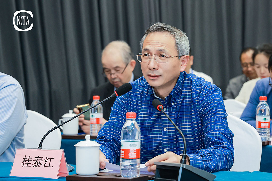 中國(guó)涂料工業(yè)協(xié)會(huì)技術(shù)專家工作委員會(huì)主任桂泰江